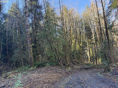 11.78 +/- ACRE LOT AVAILABLE ON DEVORE ARM WITH TENMILE LAKE - photo 13