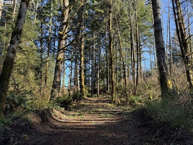 11.78 +/- ACRE LOT AVAILABLE ON DEVORE ARM WITH TENMILE LAKE - photo 16