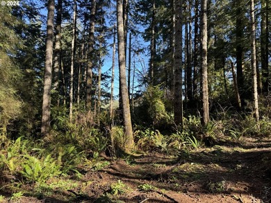 11.78 +/- ACRE LOT AVAILABLE ON DEVORE ARM WITH TENMILE LAKE - photo 17
