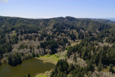 11.78 +/- ACRE LOT AVAILABLE ON DEVORE ARM WITH TENMILE LAKE - photo 19