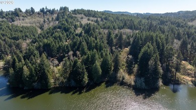 11.78 +/- ACRE LOT AVAILABLE ON DEVORE ARM WITH TENMILE LAKE - photo 28