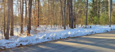 Little Beaver Pond Lot For Sale in Freedom New Hampshire