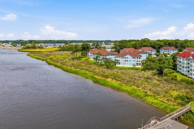 VIEWS, VIEWS, VIEWS! What truly sets this condo apart is its - photo 33