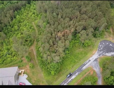 Lake Lot For Sale in East Ellijay, Georgia