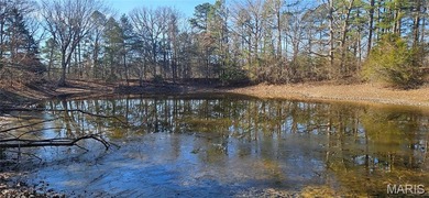 9.4 acres m/l of wooded land located just outside of the city - photo 3