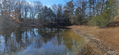 9.4 acres m/l of wooded land located just outside of the city - photo 5