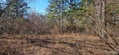 9.4 acres m/l of wooded land located just outside of the city - photo 8