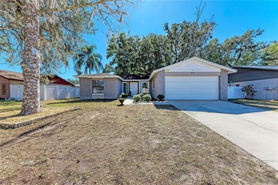 Long Pond - Hillsborough County Home Sale Pending in Valrico Florida