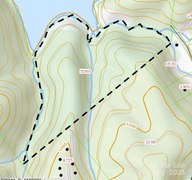 Rare 11.45 Acres on Lake James - Private Cove & Development - photo 11