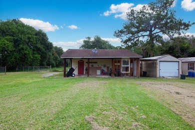 Bring your animals, toys, and country living to this 3-bedroom - photo 41