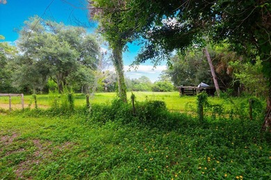 Bring your animals, toys, and country living to this 3-bedroom - photo 45