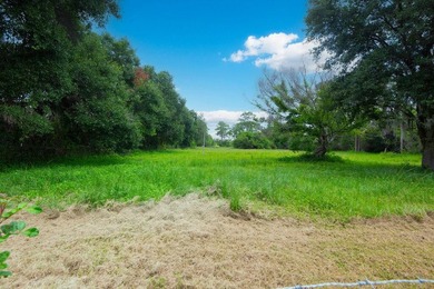 Bring your animals, toys, and country living to this 3-bedroom - photo 46