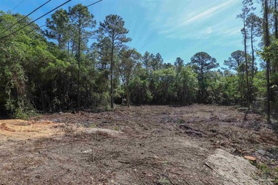 Cleared vacant quarter acre lot in Holley Navarre, in an X flood - photo 3