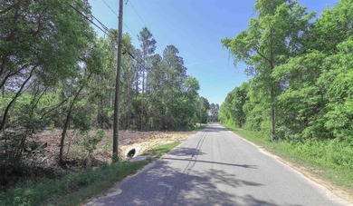 Cleared vacant quarter acre lot in Holley Navarre, in an X flood - photo 6