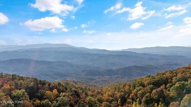 (private lake, pond, creek) Acreage For Sale in Maryville Tennessee