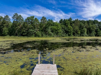 Escape to this charming Lake Front cabin, nestled on 1.7 acres - photo 33