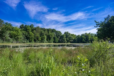 Escape to this charming Lake Front cabin, nestled on 1.7 acres - photo 34