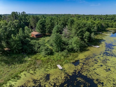Escape to this charming Lake Front cabin, nestled on 1.7 acres - photo 39
