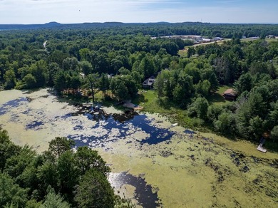 Escape to this charming Lake Front cabin, nestled on 1.7 acres - photo 40