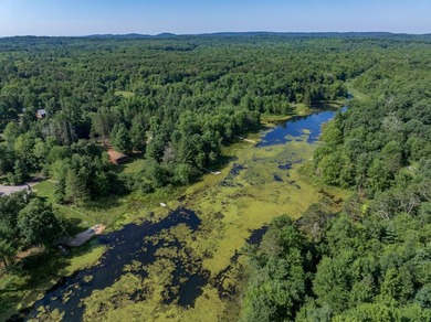 Escape to this charming Lake Front cabin, nestled on 1.7 acres - photo 41