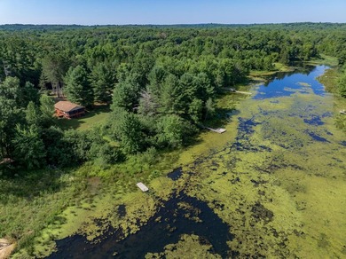 Escape to this charming Lake Front cabin, nestled on 1.7 acres - photo 43