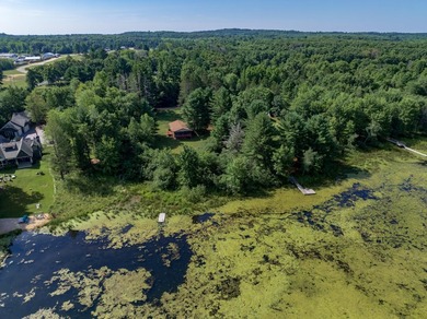 Escape to this charming Lake Front cabin, nestled on 1.7 acres - photo 44