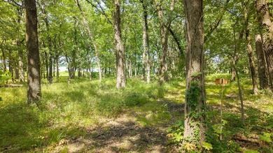 Beautiful 1.2-acre wooded homesite featuring mature oak trees - photo 3
