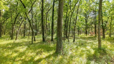 Beautiful 1.2-acre wooded homesite featuring mature oak trees - photo 6