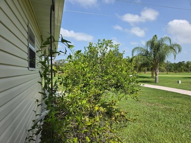 This Home Is Immaculate! No Neighbors Behind and Overlooks The - photo 8