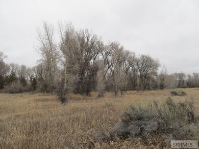 Great secluded lot covered in trees on the north end of Table - photo 6