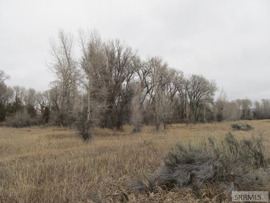 Secluded lot full of trees and wildlife on the North side of - photo 1