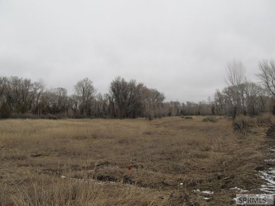 Secluded lot full of trees and wildlife on the North side of - photo 2