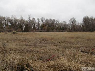 Secluded lot full of trees and wildlife on the North side of - photo 3
