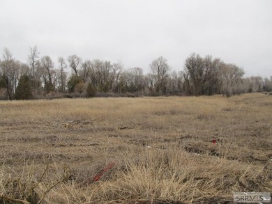 Secluded lot full of trees and wildlife on the North side of - photo 5