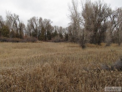 Secluded lot full of trees and wildlife on the North side of - photo 6