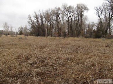 Secluded lot full of trees and wildlife on the North side of - photo 7