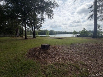 WATERFRONT LIVING IN MILLBROOK! This beautiful 3-bedroom, 2-bath - photo 11