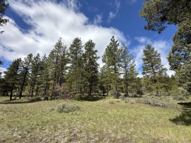 Upper Klamath Lake Acreage For Sale in Klamath Falls Oregon