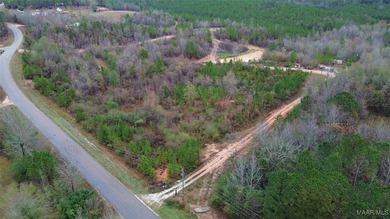 Lake Acreage For Sale in Eclectic, Alabama