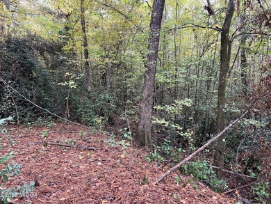 (private lake, pond, creek) Lot For Sale in Gray Georgia