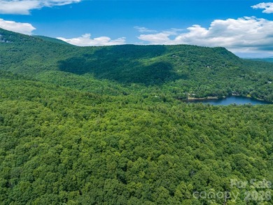 Set high above North Carolina's largest private lake, this - photo 3