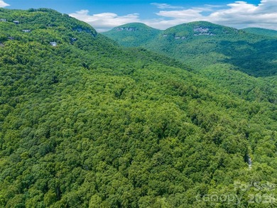 Set high above North Carolina's largest private lake, this - photo 5