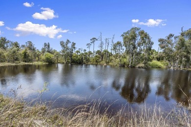 Discover a rare opportunity to own a brand new CBS home on five - photo 17