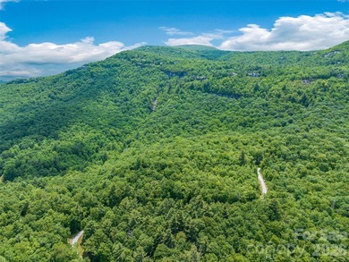 Set high above North Carolina's largest private lake, this - photo 10