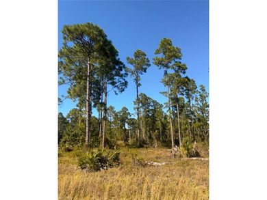 Lehigh Acres Area Lot For Sale in Lehigh Acres Florida