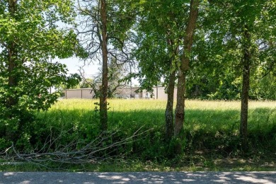 Lake Lot For Sale in Kemp, Texas
