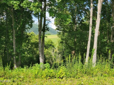 Lake Lot For Sale in Butler, Tennessee