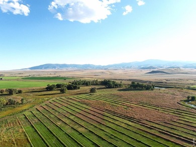 Rio Grande Sanctuary Ranch covers roughly 368 acres and offers - photo 12
