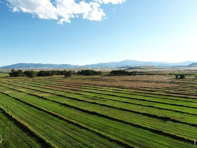 Rio Grande Sanctuary Ranch covers roughly 368 acres and offers - photo 13