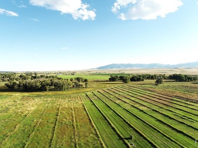 Rio Grande Sanctuary Ranch covers roughly 368 acres and offers - photo 17